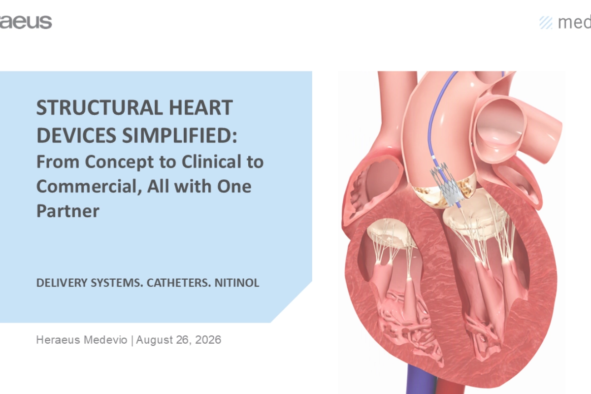 Structural heart delivery system illustration